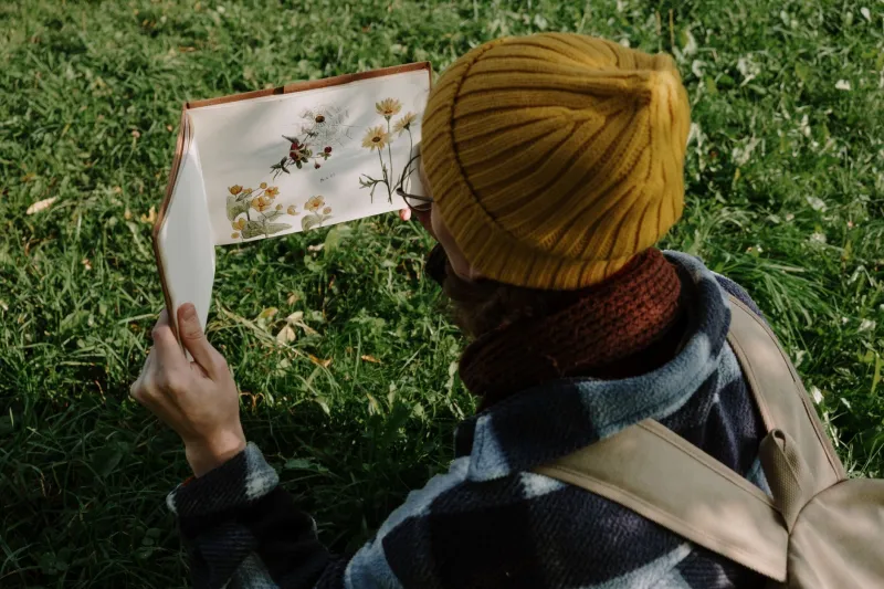 The Power of the Withheld: Why Sharing Less Might Actually Give Your Fans More